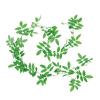 Trixie Silk Climbing Plant Photo