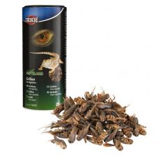 Trixie Dried Crickets