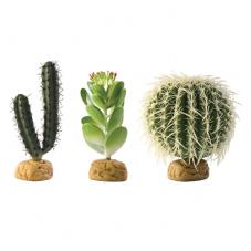 Exo Terra Desert Plants