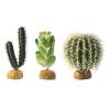 Exo Terra Desert Plants Photo