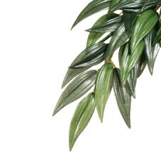 Exo Terra Silk Plants