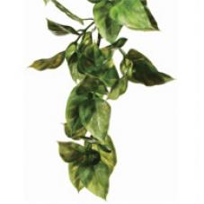 Exo Terra Plastic Hanging Plants
