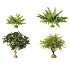 Exo Terra Rainforest Plants