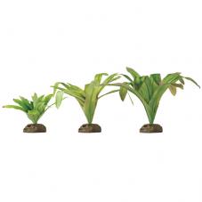 Exo Terra Dart Frog Bromelia