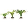 Exo Terra Dart Frog Bromelia Photo
