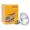 Komodo UV Sun Lamp Photo