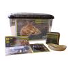 Komodo Basic Giant Snail Kit Photo