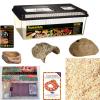 Corn Snake Kit Photo