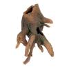 Trixie Mangrove Root Photo