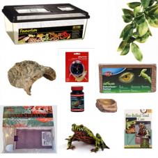 Fire Bellied Toad Enclosures