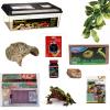 Fire Bellied Toad Enclosures from Exotic-Pets.co.uk