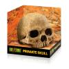 Exo Terra Primate Skull Photo