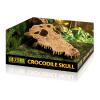 Exo Terra Crocodile Skull Photo
