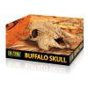 Exo Terra Buffalo Skull Photo
