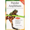Popular Amphibians - AVS Photo
