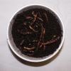Earthworms Photo