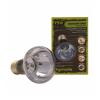 Komodo Neodymium Daylight Spot Bulbs Photo