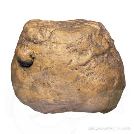 Exo Terra Feeding Rock
