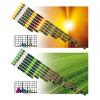 Exo Terra UV Lighting Strips Photo