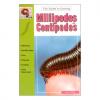 Guide to Owning Millipedes and Centipedes, The Photo