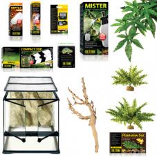Pygmy Chameleon Kit