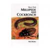 Your First Millipede and Cockroach Photo