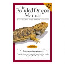 General Care and Maintenance of Bearded Dragons