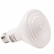 Komodo Radiant Heat Lamp