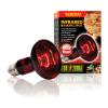 Exo Terra Heat Glo Lamp Photo