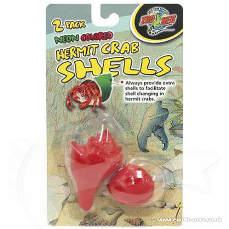 hermit crab shells. Hermit Crab Shells