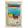 Hermit Crab Sand Photo