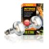Exo Terra Day Glo Tight Beam Bulbs Photo