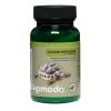Komodo Calcium with Vitamins for Herbivores Photo
