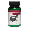 Komodo Calcium with Vitamins for Carnivores Photo