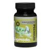 Komodo Chameleon Insect Dusting Powder Photo