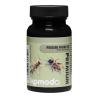 Komodo Feeder Insects Enhancing Formula Photo