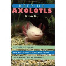 Keeping Axolotls