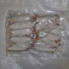 Frozen Mice Large