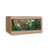 VivExotic LX Vivariums Photo