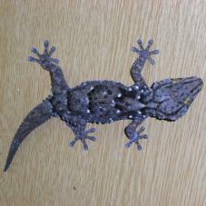 Turners Gecko