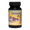Komodo Fat Tail Gecko Insect Dusting Powder Photo