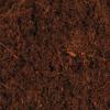 Trixie Coco soil Photo