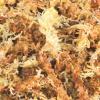 Trixie Sphagnum Moss Photo