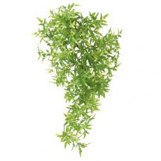 Trixie Plastic Hanging Plants