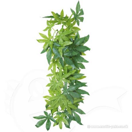 Trixie Silk Abutilon Hanging Plant