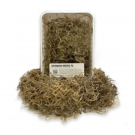 Exotic Pets Spanish Moss