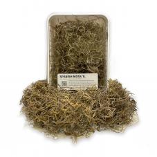 Exotic Pets Spanish Moss (Natural terrarium decor)