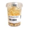 Live Bean Weevil Cultures - Pot 520ml
