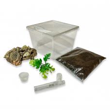 Exotic Pets Essentials Spiderling Kit (Housing for Spiderlings)