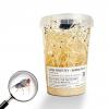 Live Flightless Fruit Fly Cultures - Large Fly (D. hydei) 670ml Culture JUMBO POT